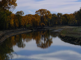 a train crossing a bridge over a body of water