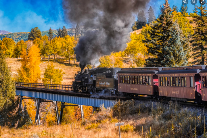 a train traveling down train tracks near a forest