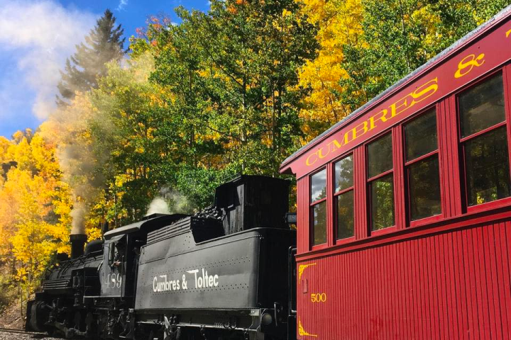 a train traveling down train tracks near a forest
