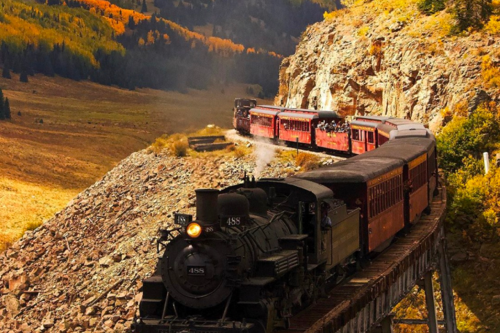 a train traveling down train tracks near a forest
