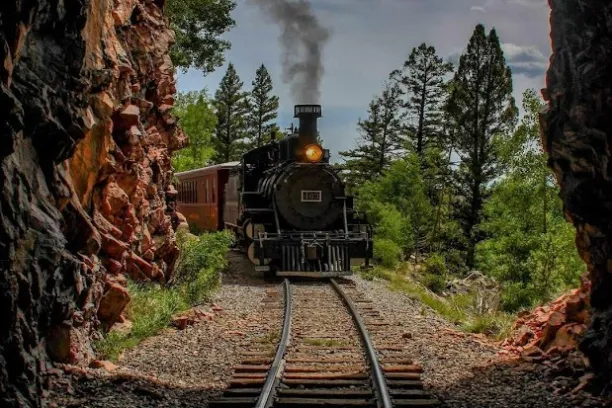 a train traveling down train tracks near a forest