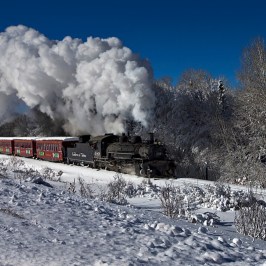 a train covered in snow