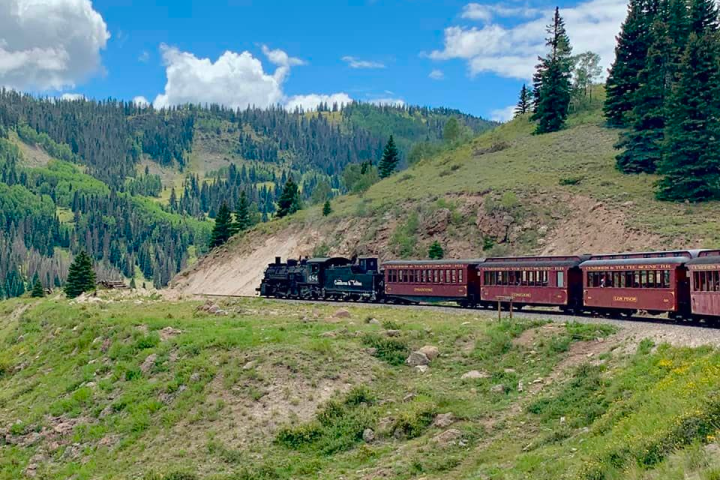 a large long train on a lush green hillside