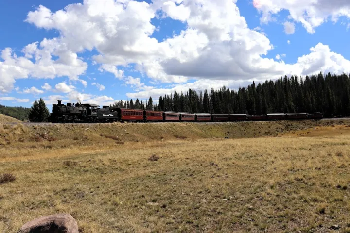 a close up of a dry grass field