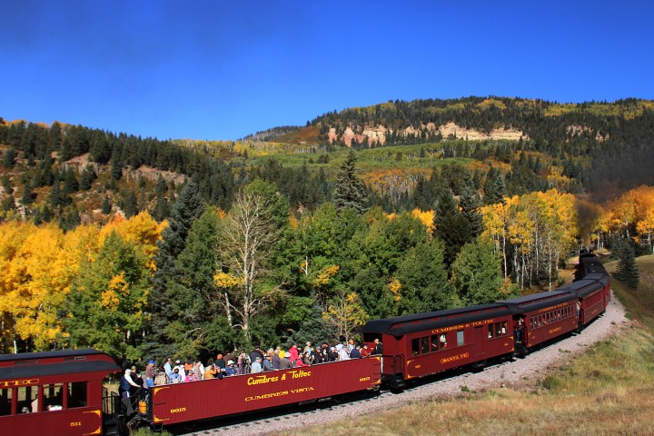 a train traveling down train tracks near a forest