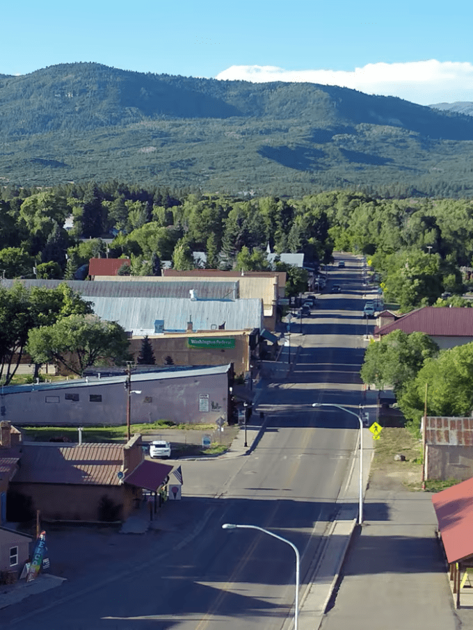 chama_004bfcdd-af83-45c6-95ce-5ea7ed4076f9 a tree with a mountain in the background