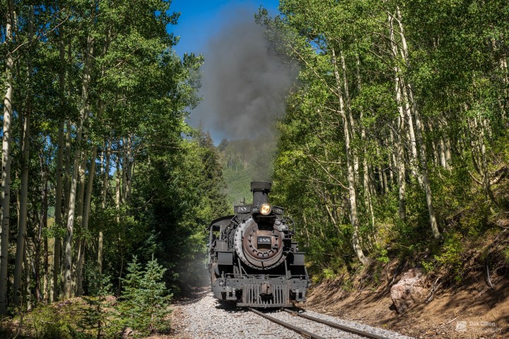 a train traveling down train tracks near a forest