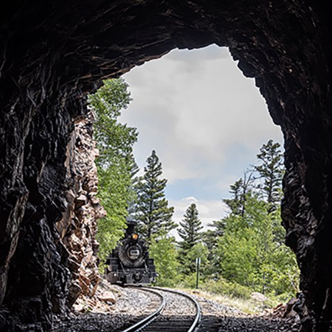 Train emerging from a rocky tunnel into a forested area.