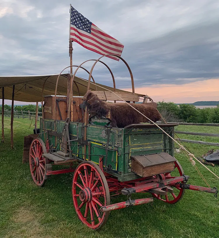 Covered wagon with U.S. flag and fur pelt in a grassy field.
