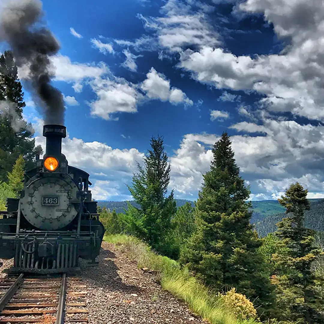 Locomotive 463 on a mountain track with trees and cloudy sky.