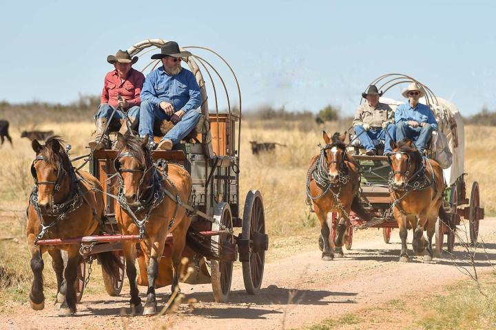 Two horse-drawn wagons with people in cowboy hats on a dirt path.